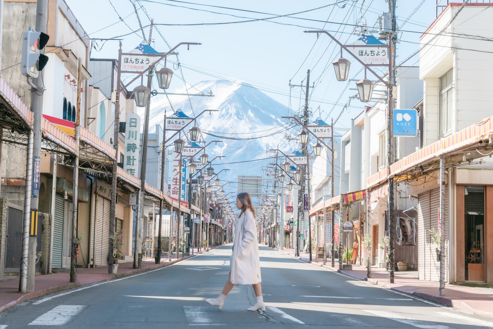ティックの日本
