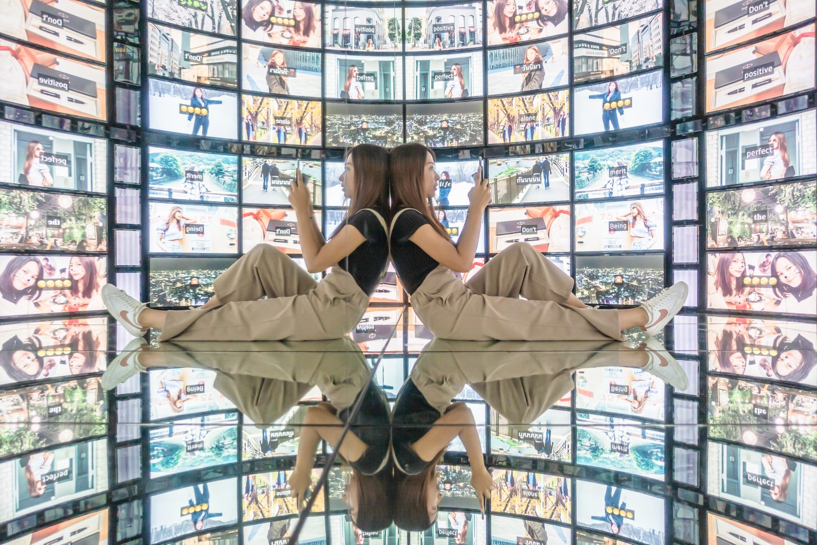 ティックの日本