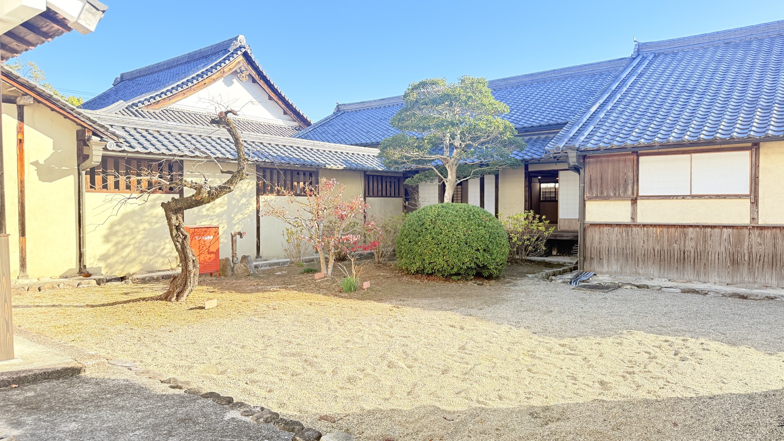 裏庭 / Back courtyard