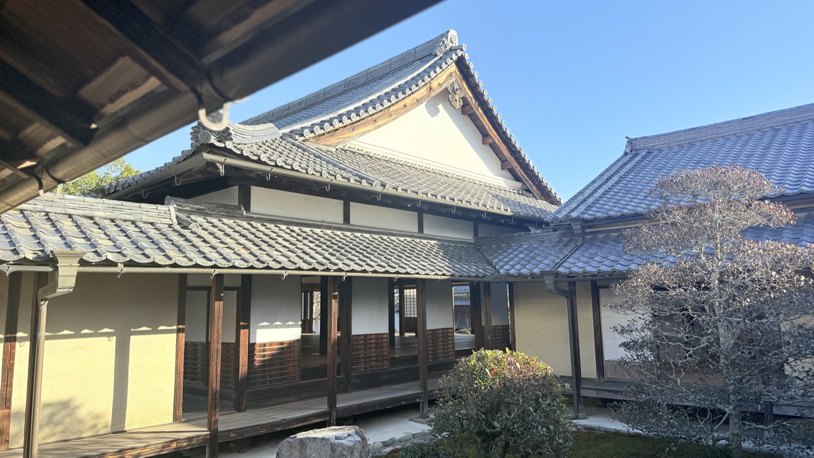 中庭 / Center garden